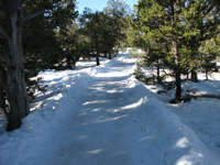 20090116-SnowySouthRimTrail