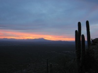 CactusSunset-030906