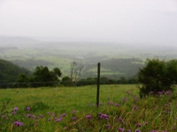 KiamaCountryside