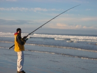 SurfFishing