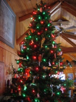 20071223-ChristmasTree