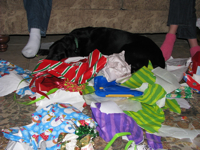 20081225-Brody-WrappingPaper