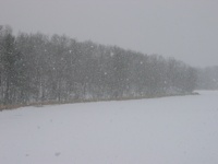 GiantSnowflakes