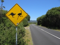 KangarooEmuSign