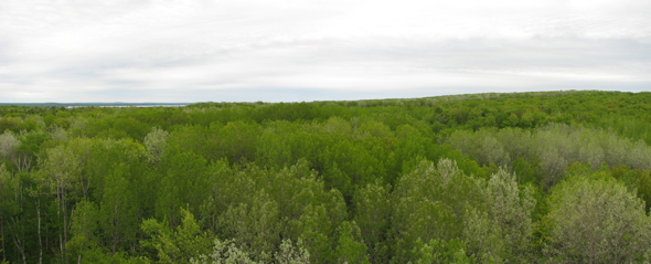 20090606-Pan-ViewFromProphetTower