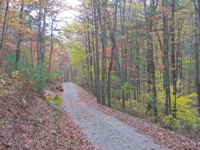 20071020-PennStateExperimentalForest