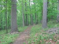 20080515-Patapsco17thTee