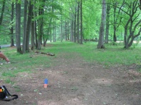 20080515-Patapsco5thTee