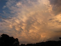 20080616-Mammatus