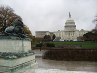 20091113-ShermanLion-Capitol