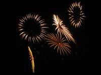 20100704-FireworkDiscs