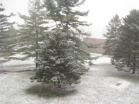 BadPhoto6-PostFix-Snowing