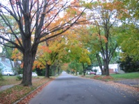 Fall-McCormickAve-100306