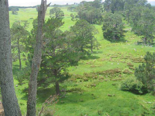 10-GandalfsArrival Across the way is the location of the path on which Gandalf arrived in Hobbiton, and Frodo uttered, 