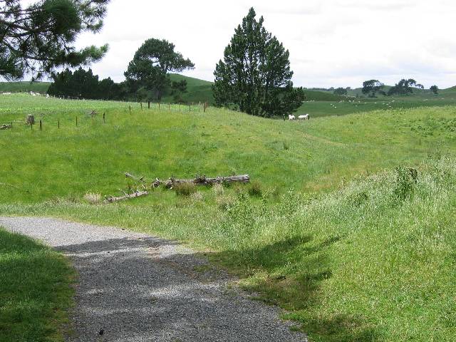 13-GrumpyMan-Fireworks On the right side of this path is the site of the hobbit hole and garden where the old hobbit was working and smiling at the children as Gandalf's fireworks were going off, until his wife came out and scowled at him, prompting him to turn grumpy very suddenly