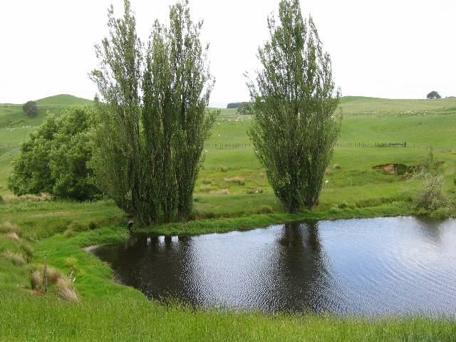 34-Pond Pond