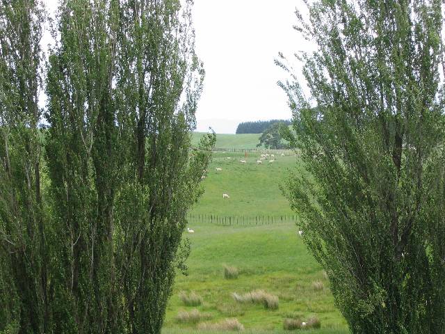 35-WheatFields In the distance is the field that was used as the wheat field where Sam told Frodo, 