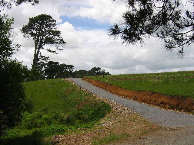 66-Road The road going through the Alexander's land to Hobbiton