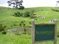 61-Hobbiton