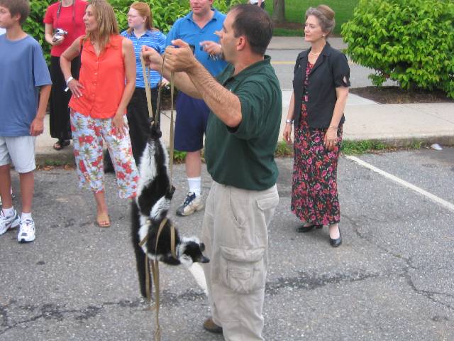 045-Lemur Finally at the MEGA Conference in Lynchburg on Sunday evening, there was an animal handler with a lemur there on our way to supper