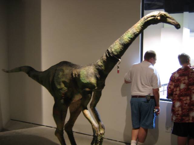 127-LongneckDino Longneck dino ... all the dinosaurs on display are models that were created by Buddy Davis