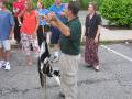 045-Lemur Finally at the MEGA Conference in Lynchburg on Sunday evening, there was an animal handler with a lemur there on our way to supper