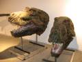 132-TRexHeads T-Rex heads